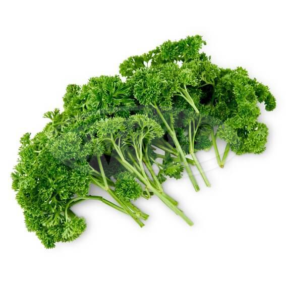 English Parsely/ Daun Parsli